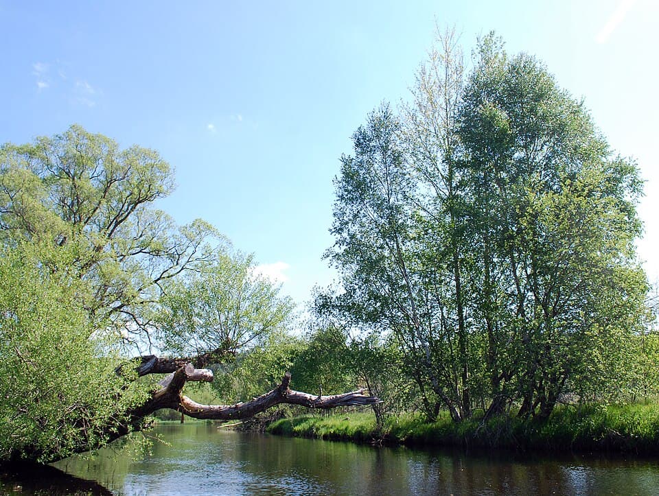 Vodáci: Teplá Vltava